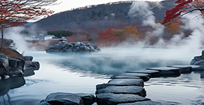 非(fei)誠勿擾花(huā)幽香_北海道钏路阿寒湖(hú)